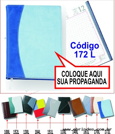 Agenda Diria 2011