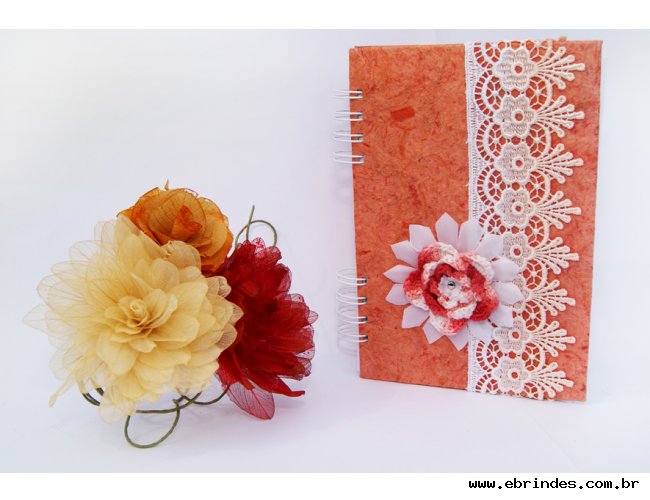 AGENDA  ZINNIA