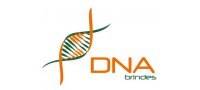 DNA Brindes